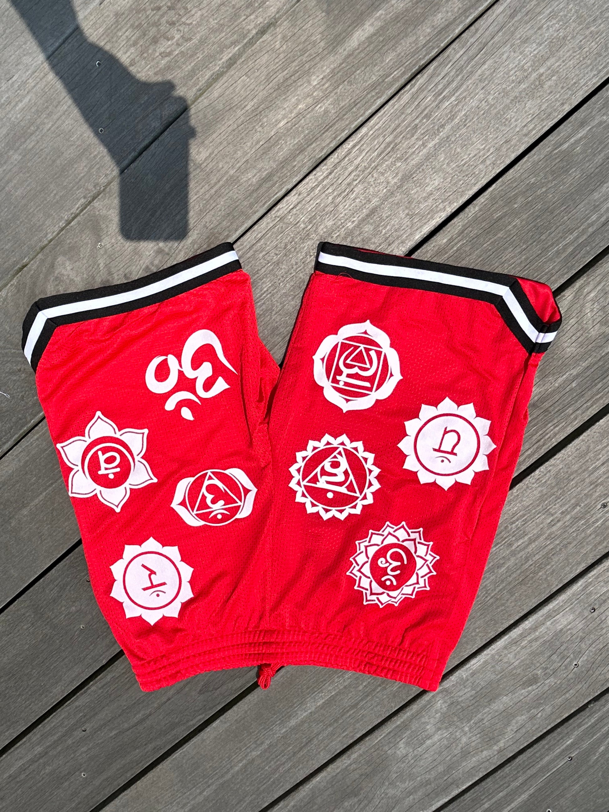 7 Chakras Mesh Shorts